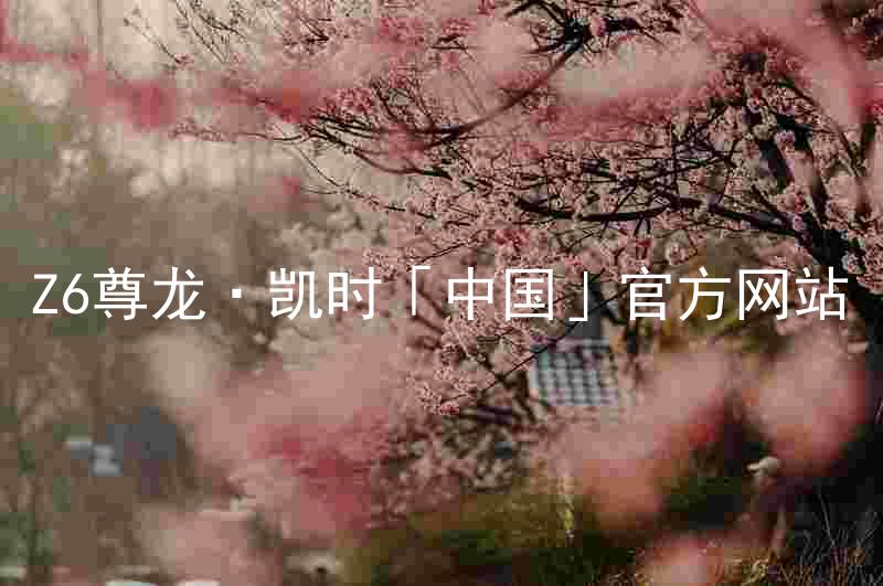 Z6尊龙·凯时「中国」官方网站