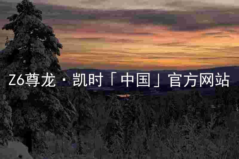 Z6尊龙·凯时「中国」官方网站