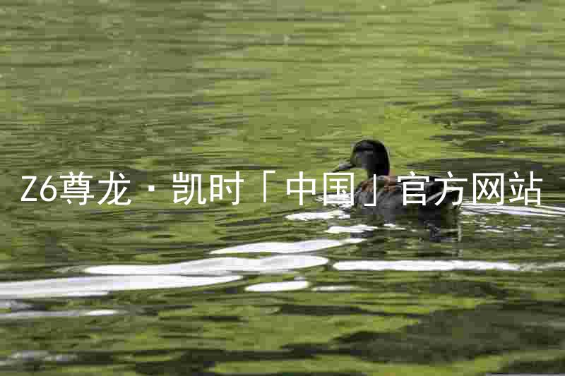 Z6尊龙·凯时「中国」官方网站