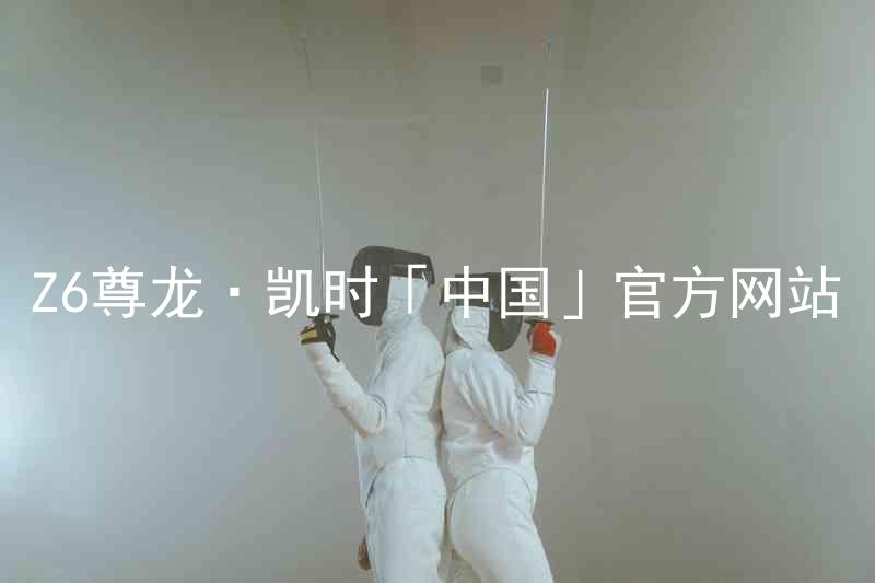 Z6尊龙·凯时「中国」官方网站